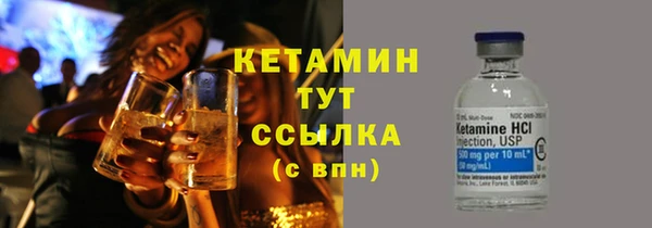 шишки Переславль-Залесский