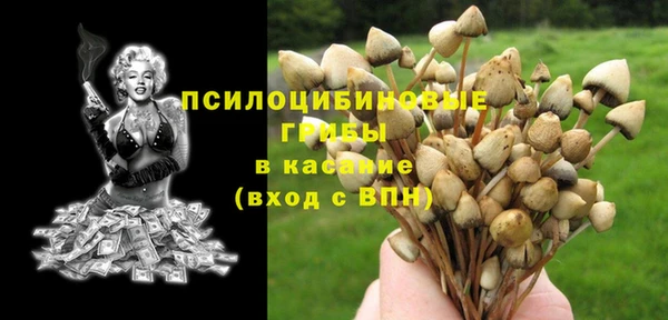 a pvp Алексеевка