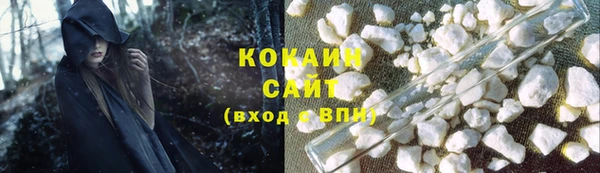 молекула духа Пересвет