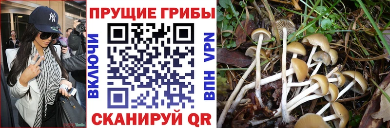 hydra сайт  Сосновый Бор  Псилоцибиновые грибы Magic Shrooms 